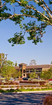 Cerritos Plaza lot and foliage